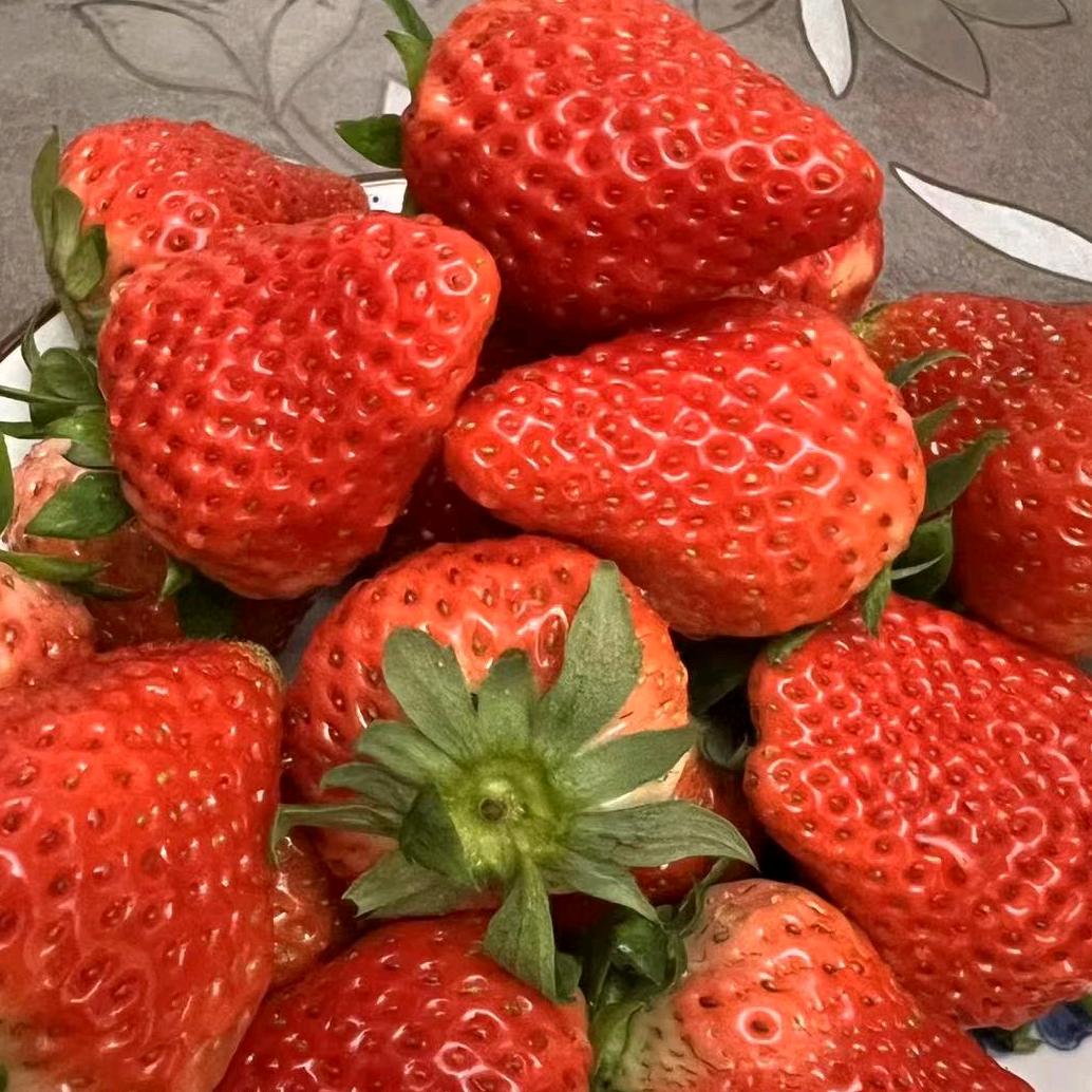 红芳