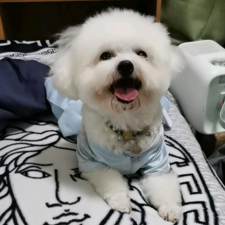 醉绾青丝
