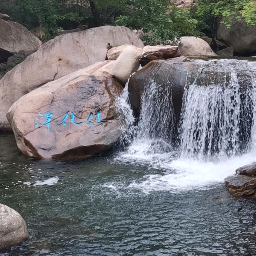 姜山牛肉饭（面。卤肉饭）