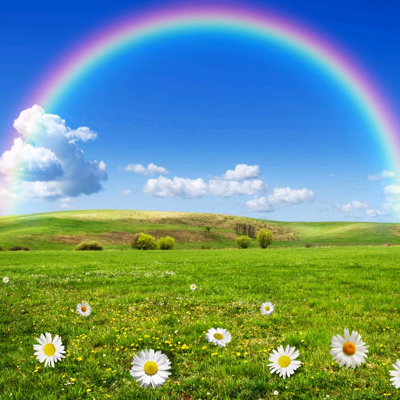 望树辉哥卖家具