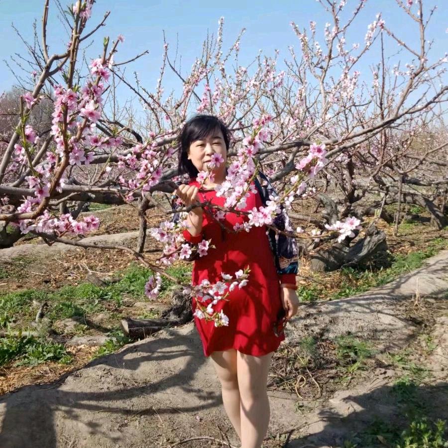 u香百合ser1604824862090