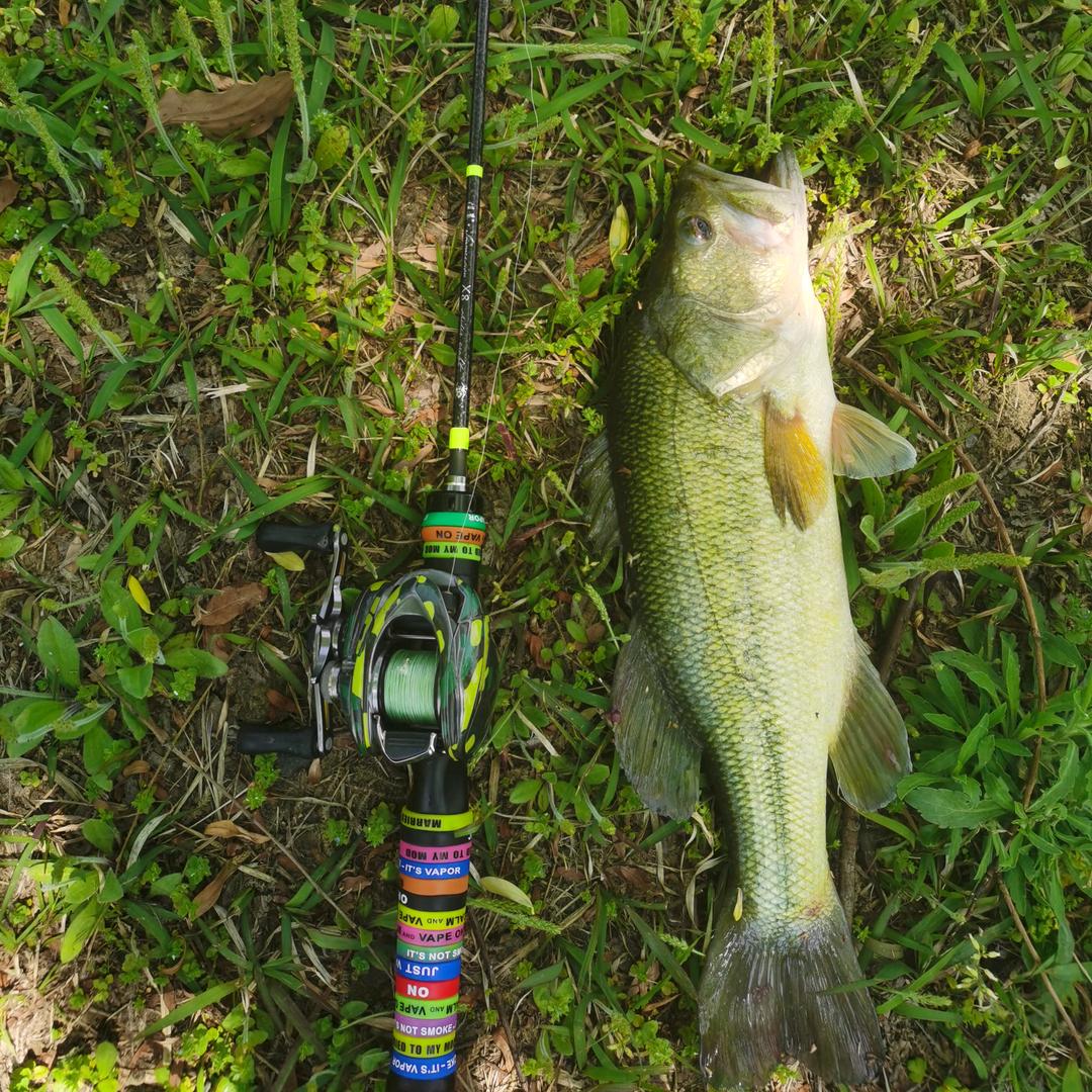 草根钓鱼🎣（全能型钓手）