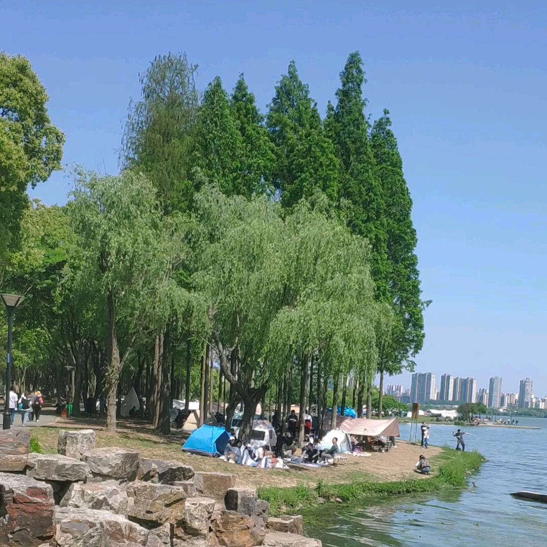 ✨愚公✨
