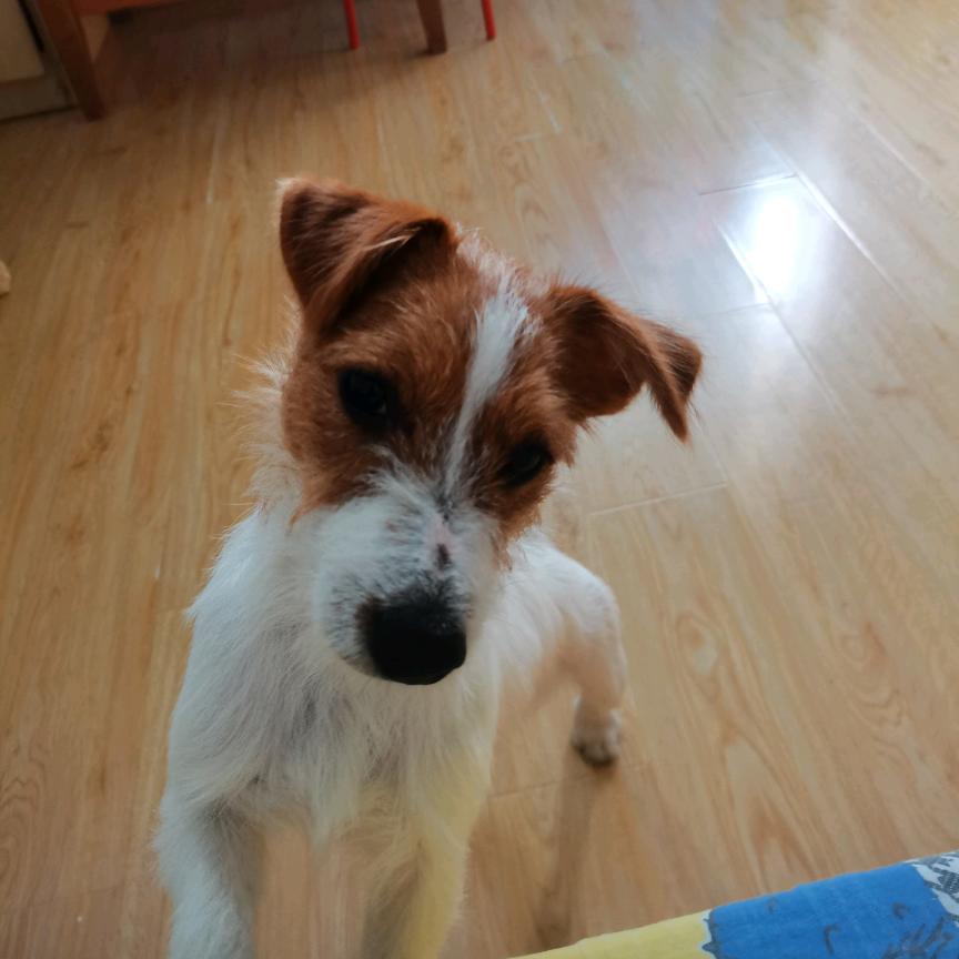 🌈哇哒西哇肆门汀