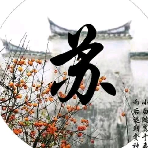 相爱一生2642