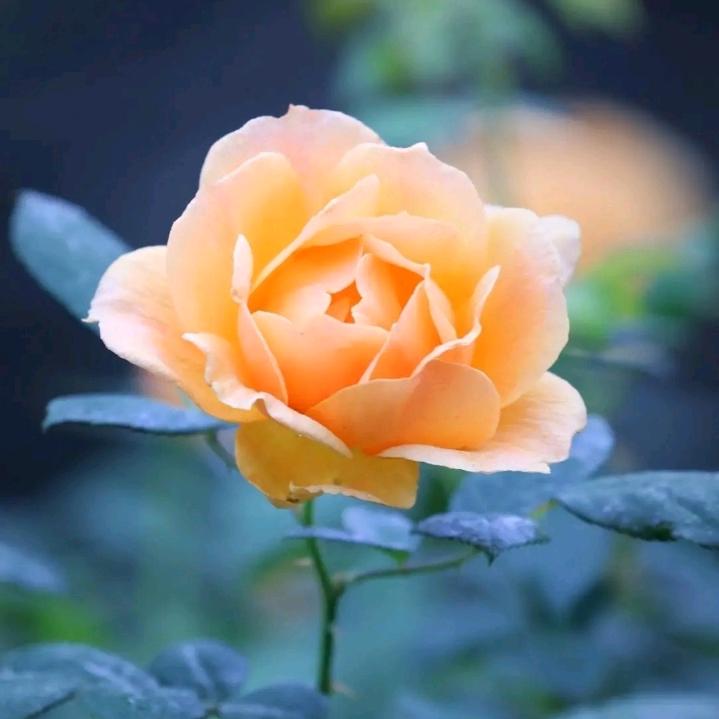 好像回到过去