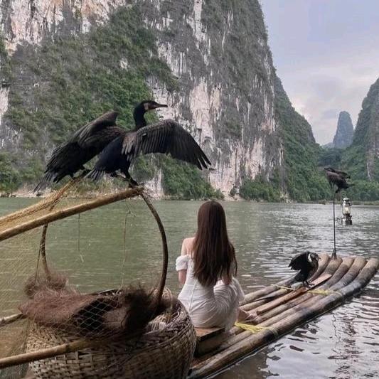 我就是小彤彤