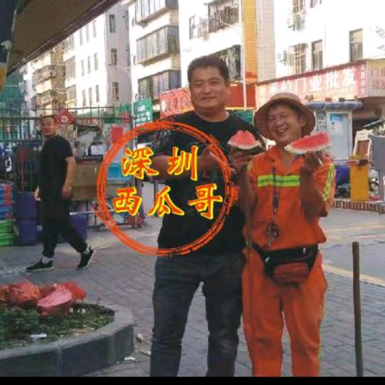 深圳市西瓜哥车行