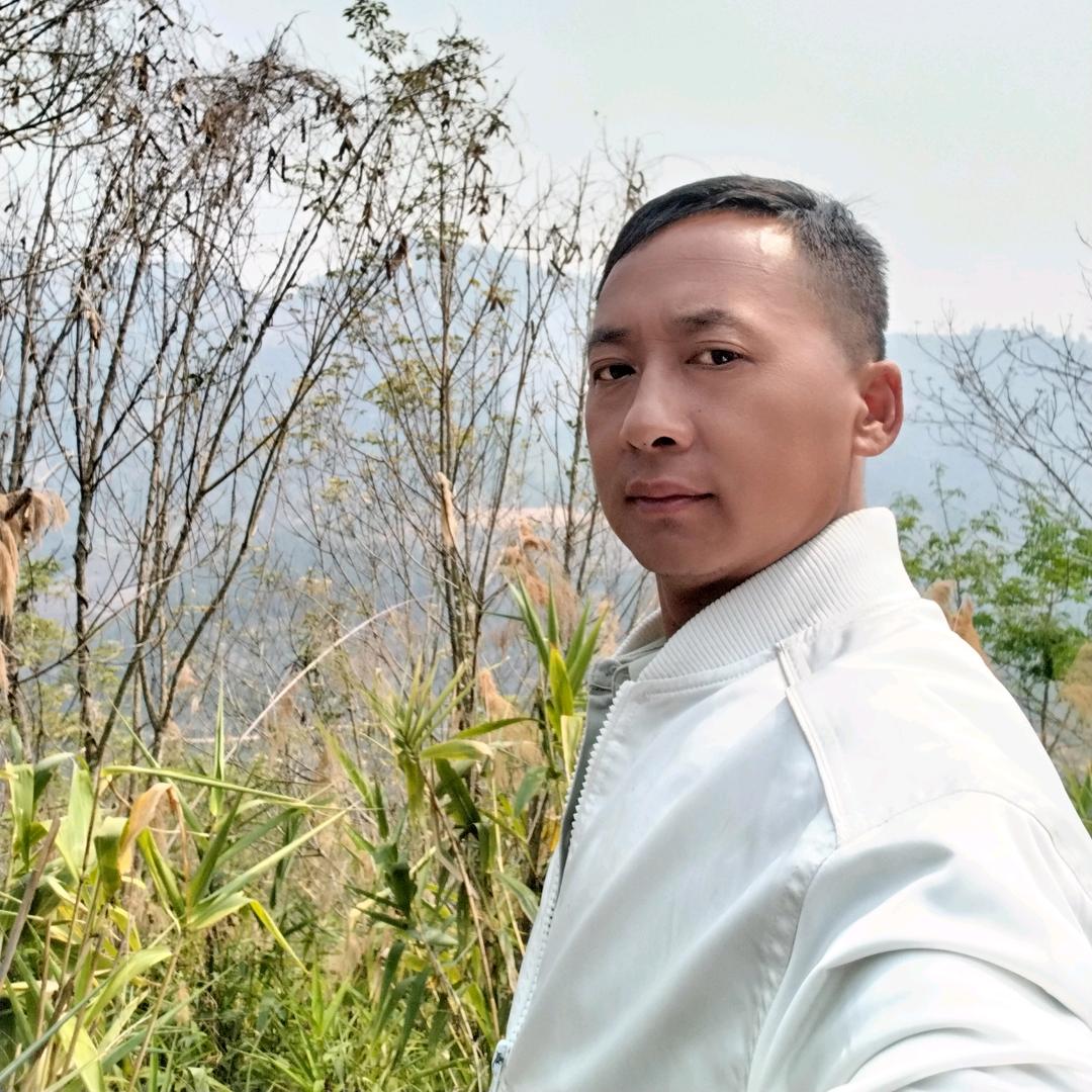 自由人在拼搏