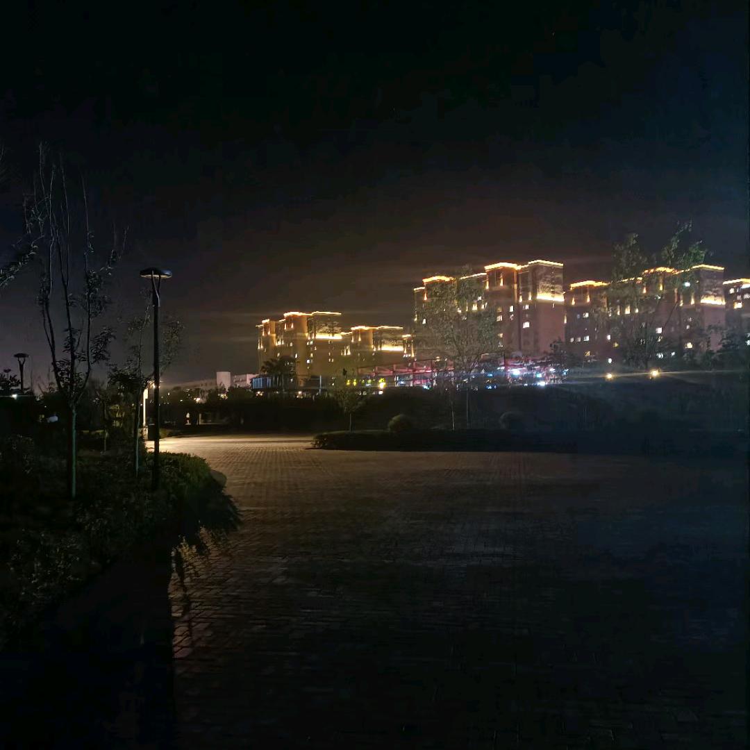 知………………………心