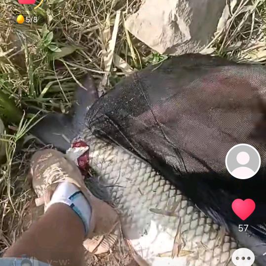 乐意~