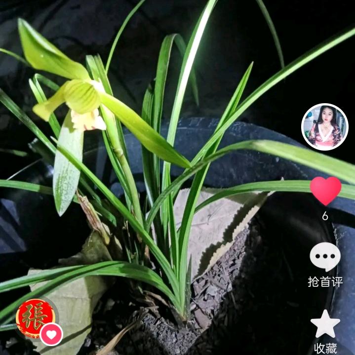 野生菌小庆