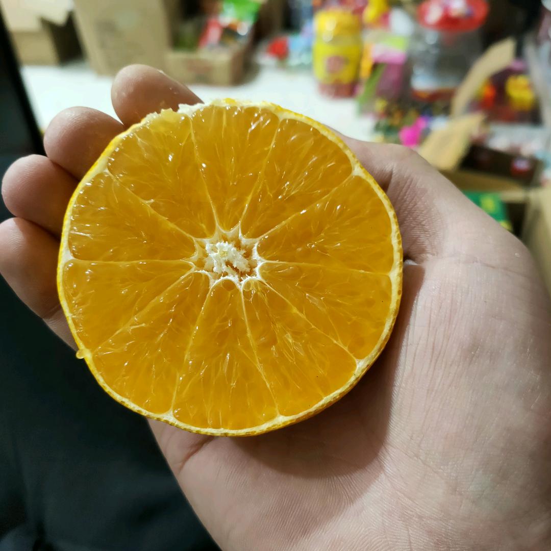 神勇阿毛是一颗小树人