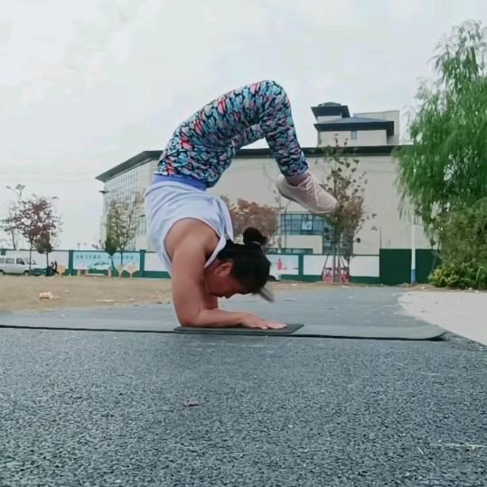 彩莲自学瑜伽 （小号）