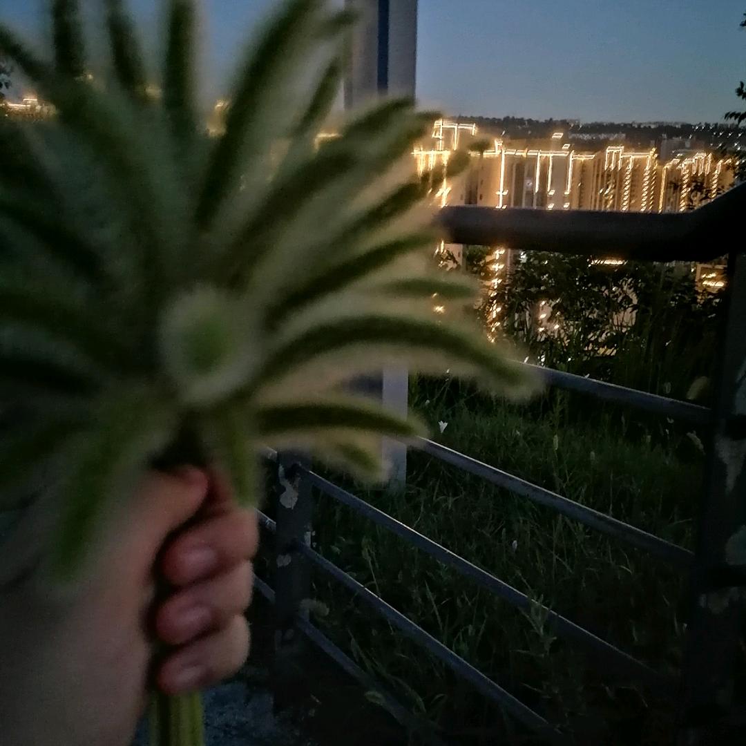 平安幸福，健康快乐