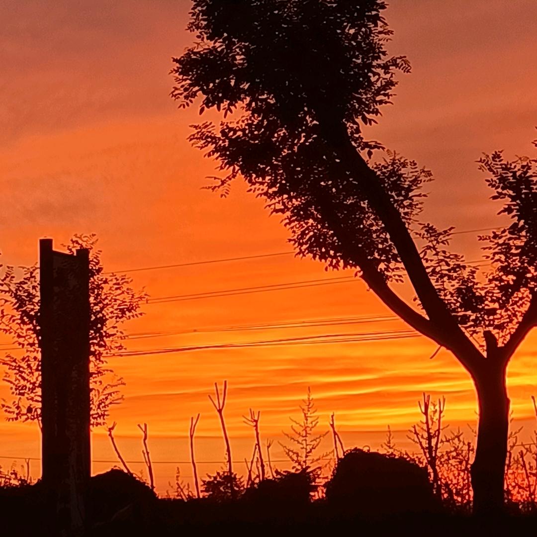 🚬ಇ᭄烟࿆ྃ似寂寞໊酒似愁࿐