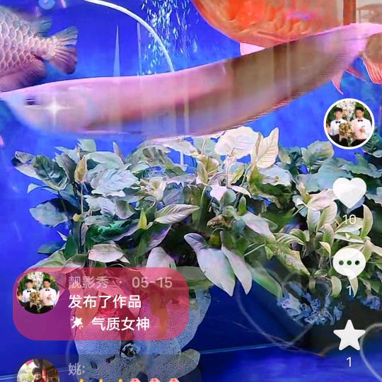 靓影秀