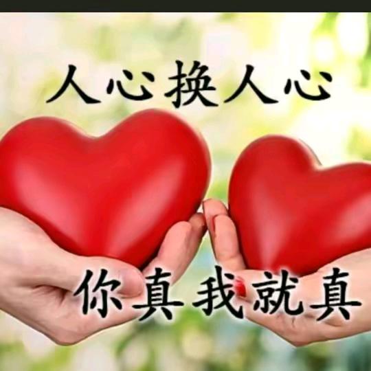 （男人不坏女人不爱“夜色”）
