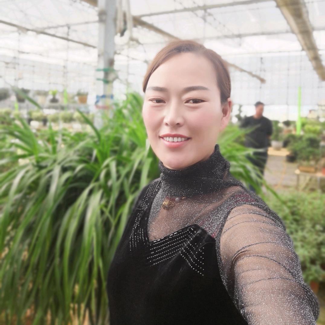 二手车买卖小叶