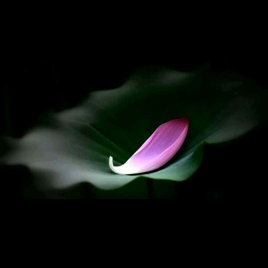 三生石