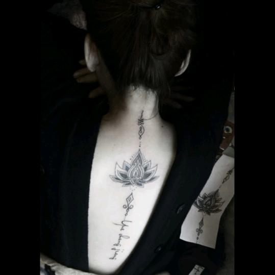 郑琳