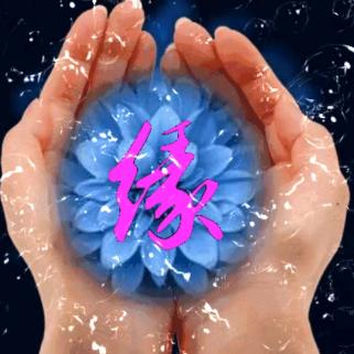 缘姐爱生活爱分享