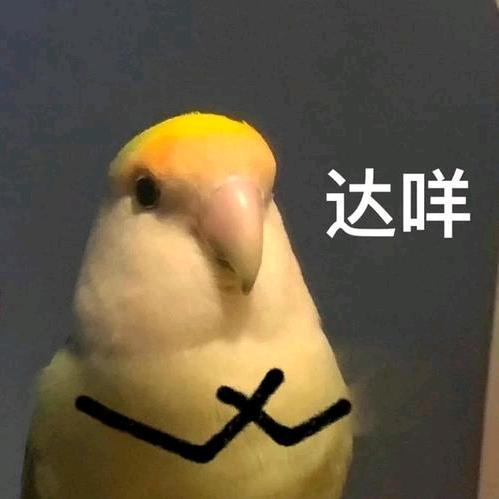 王萂昇头像