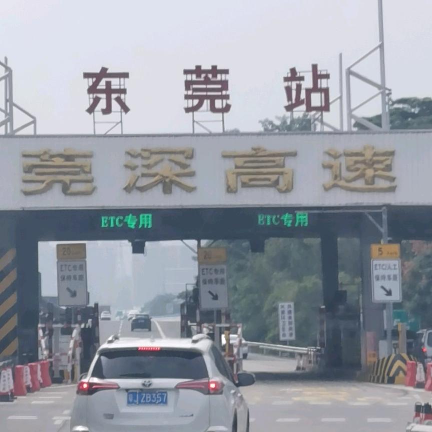 柒柒