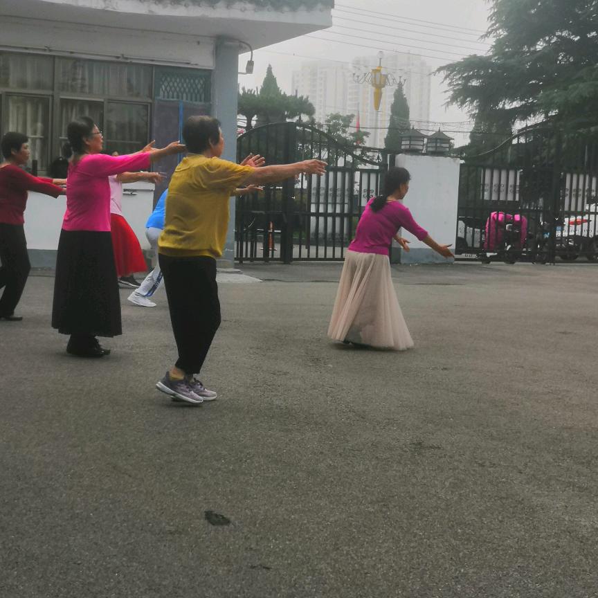 虎，