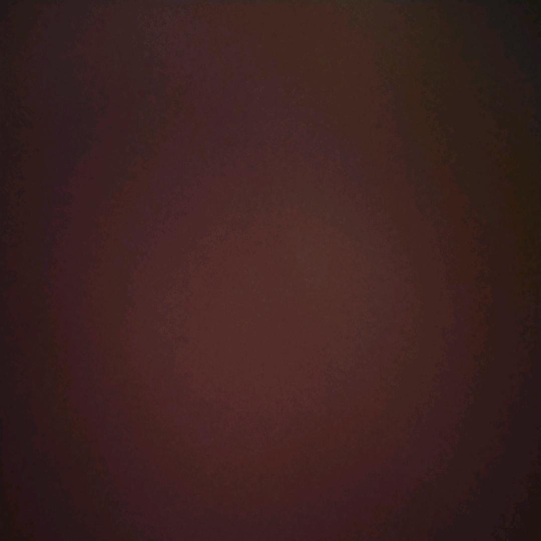 宋天临