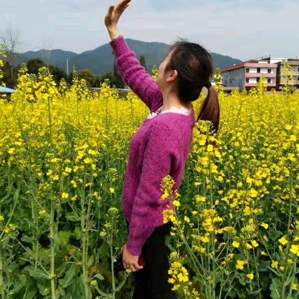 稳稳的幸福🐒🐔🐀