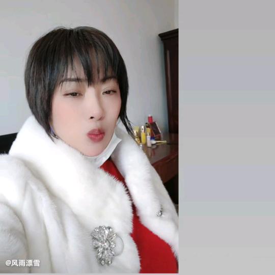 风雨漂雪