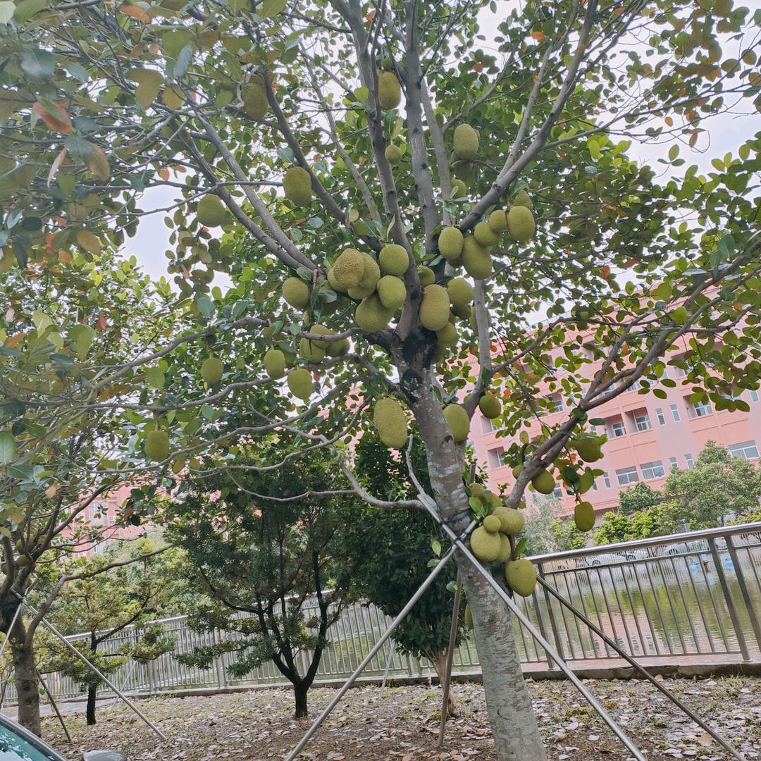 在广州等你