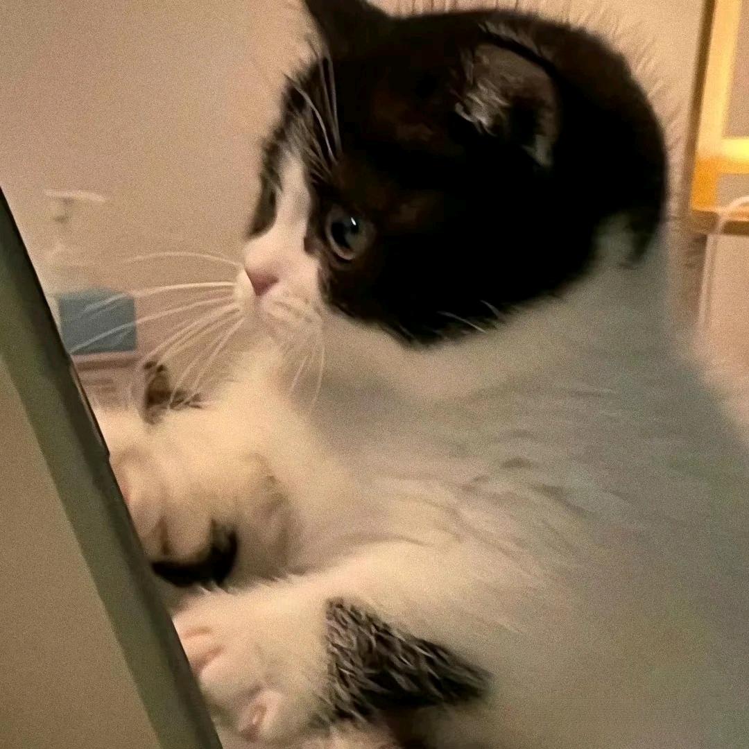 👉时间不会说谎