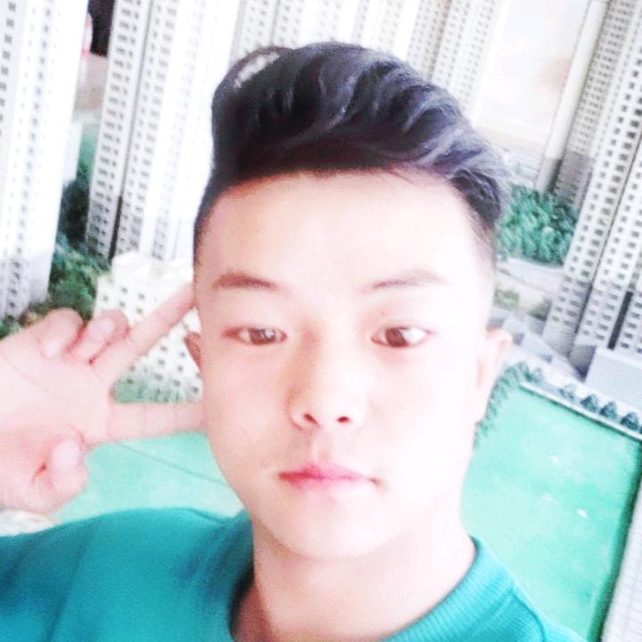 绿绿