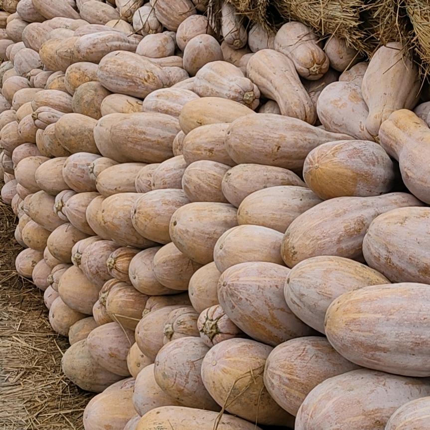 盐城市大丰区涛欣家庭农场