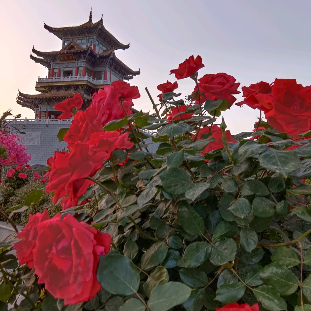 龙行天下