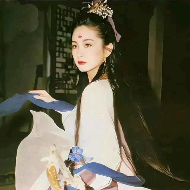 卿枫凝梦