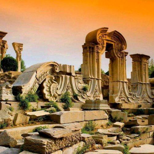 树上果##拒私聊##