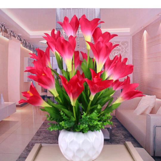 小糖人转成膜性肾病。