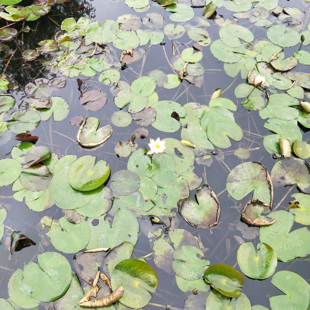 春雨