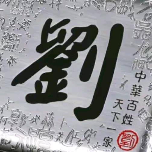 锂电人  劉金