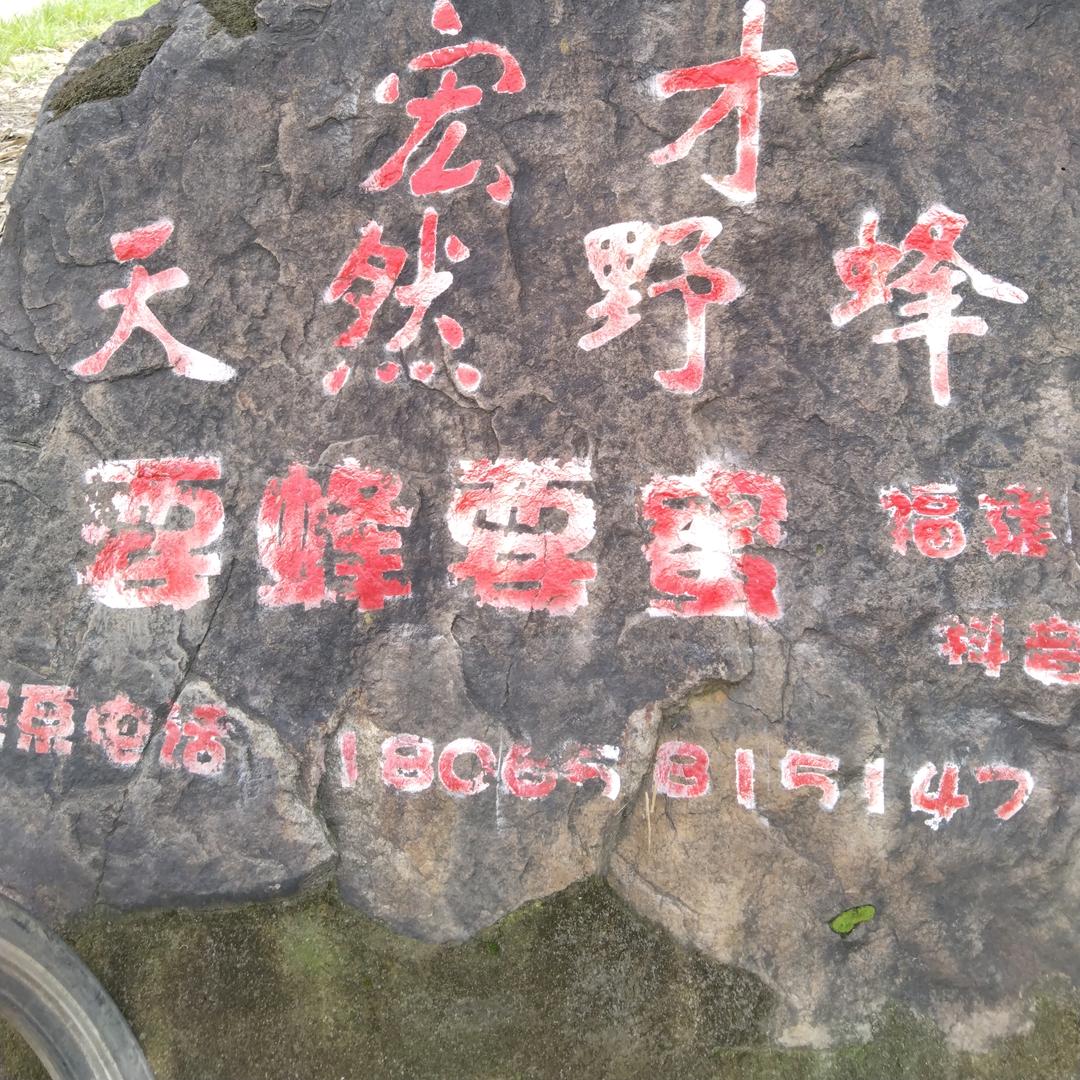 宏才天然野蜂蜜