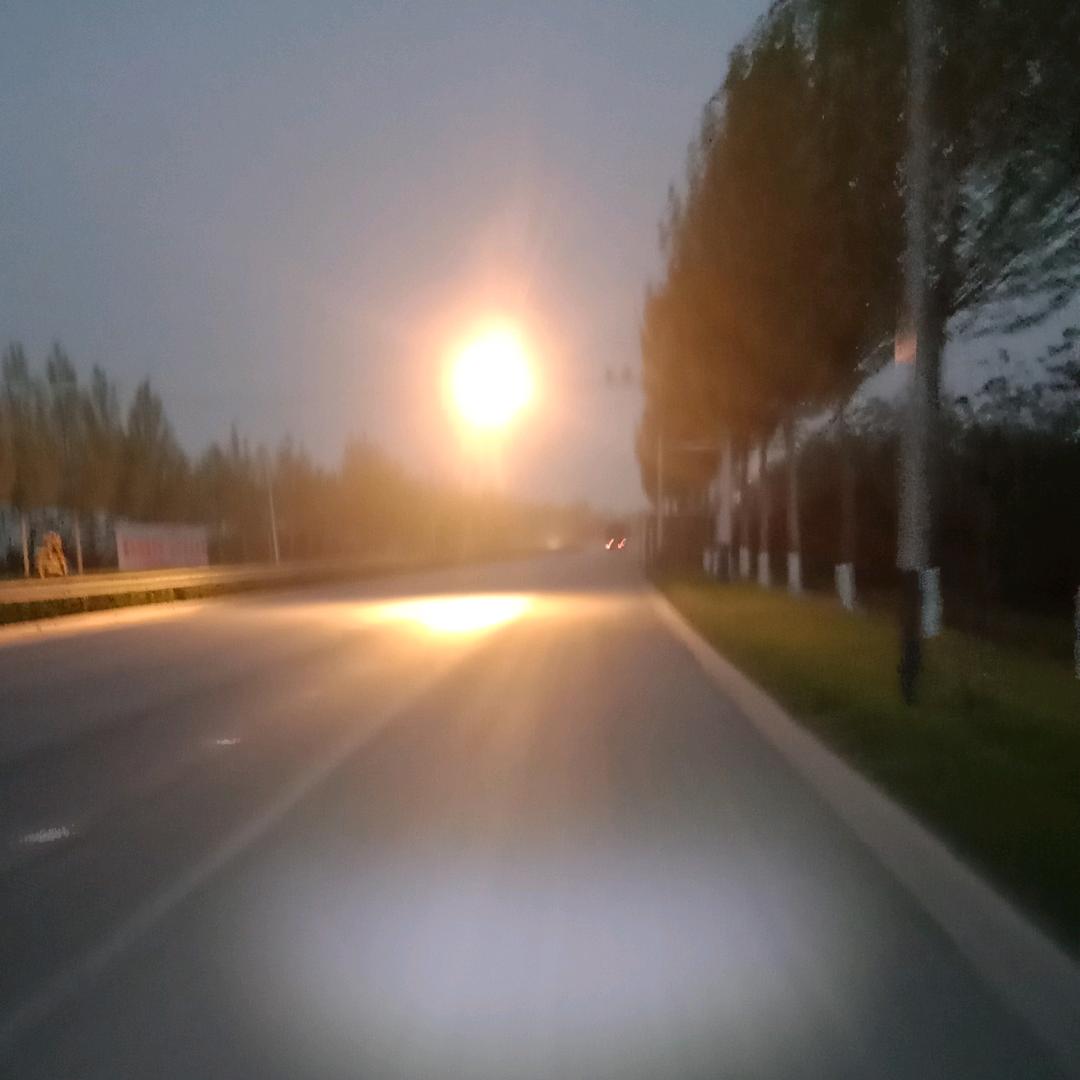 必须富