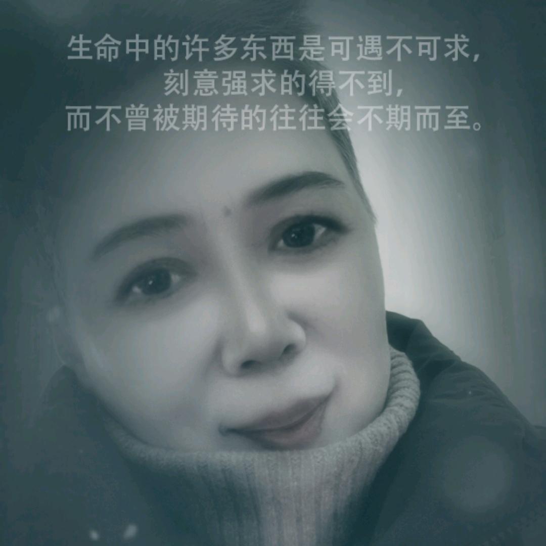 琦琦