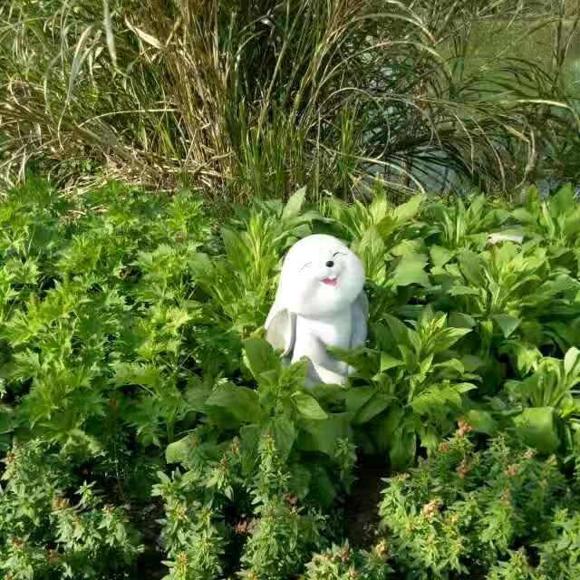 ★雨后※天空★