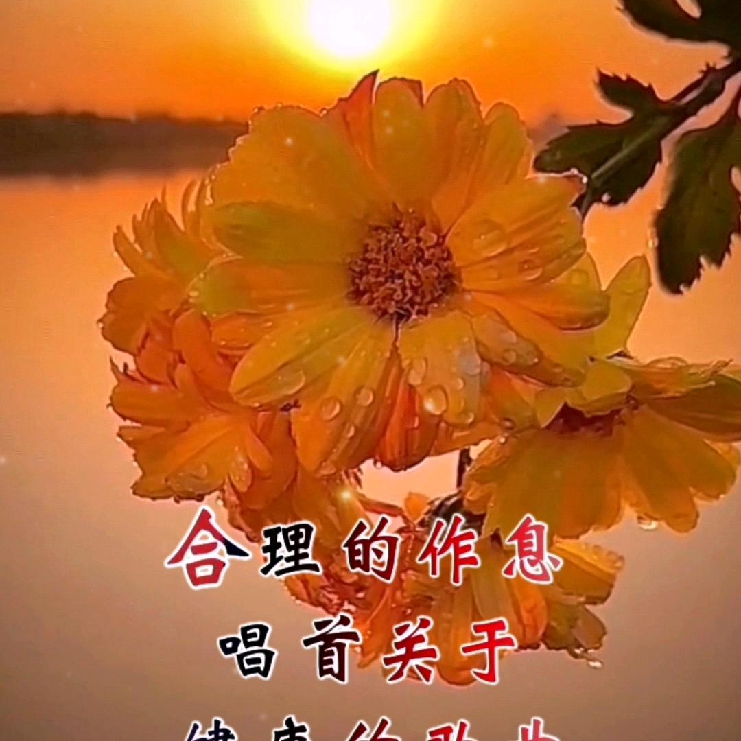 军哥No1