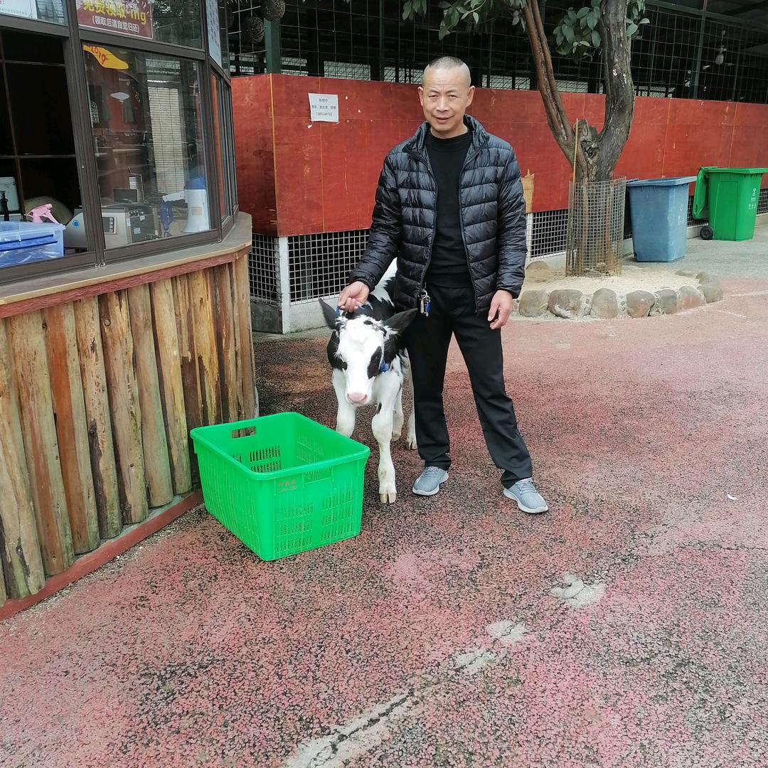 隔强师傅