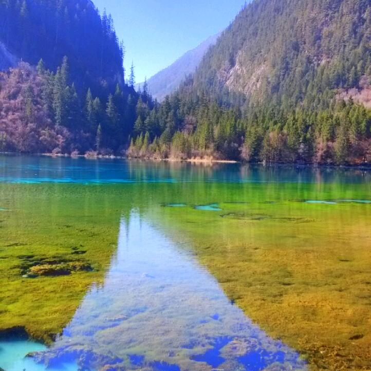 来红尘
