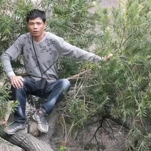 用户装修佬